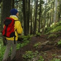 BLM launches Colorado Forest and Woodlands Resource Management Program (US) - fundsforNGOs BLM launches Colorado Forest and Woodlands Resource Management Program (US)