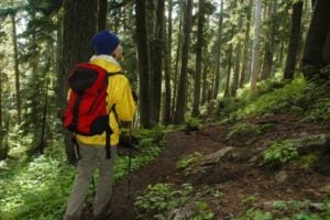 BLM launches Colorado Forest and Woodlands Resource Management Program (US)