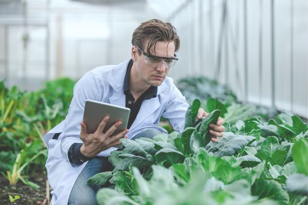 Ascending Investigator Grants for Research