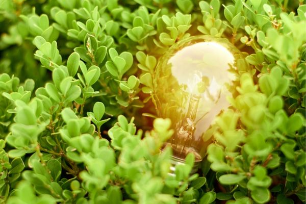 Call for Proposals: First Innovation Fund (Ethiopia)