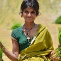 7th Operational Phase: Upscaling Grant on Sustainable Agriculture and Fisheries (India) - fundsforNGOs 7th Operational Phase: Upscaling Grant on Sustainable Agriculture and Fisheries (India)