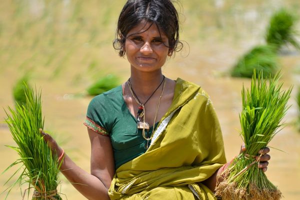 7th Operational Phase: Upscaling Grant on Sustainable Agriculture and Fisheries (India)