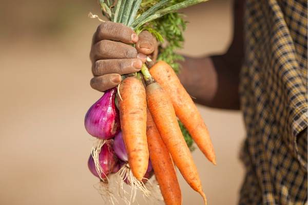 Call for Project Concept Notes: Terai Agribusiness and Enterprise Challenge Fund (Nepal)