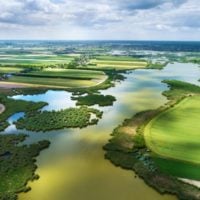 CIFOR-ICRAF Photo Competition: Trees, Biodiversity, Life