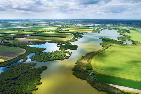 CIFOR-ICRAF Photo Competition: Trees, Biodiversity, Life