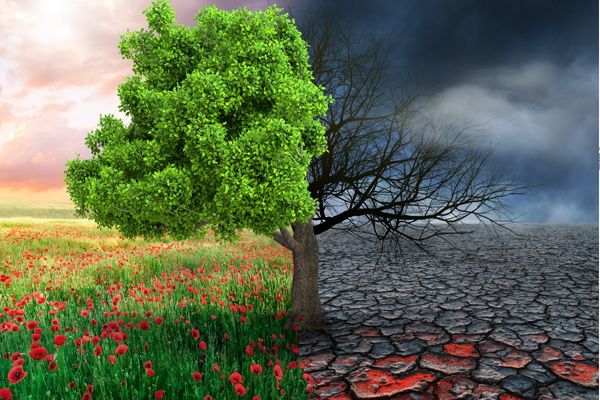Call for Concepts: From knowledge to Climate-Resilient Action in African Countries
