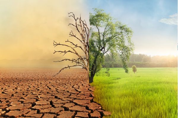 Call for Proposals: Voices for Just Climate Action Program - Kenya
