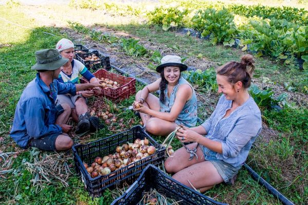 Open Call for Smurfit Kappa Foundation Grant Program