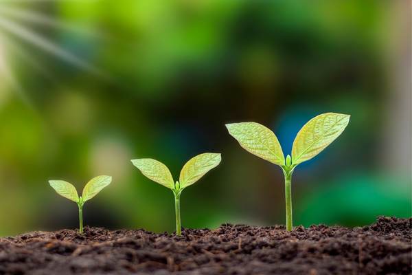 Request for Applications: SAREP Partnership Fund (Round 3)