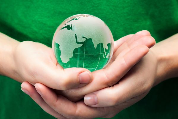 Singapore: SG Eco Fund – Sprout