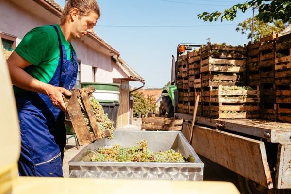 Call for Applications: Transforming Mediterranean Food Systems to empower Consumers for Sustainable Diets