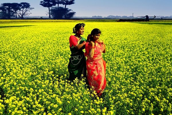 Grant Assistance for Grass-roots Human Security Projects - Bangladesh
