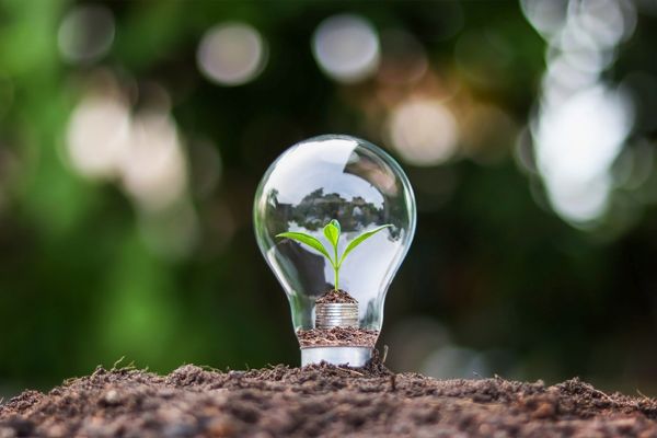 Canada: The Green Pursuit – A Sustainability & Innovation Challenge