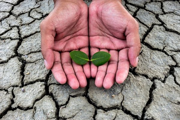 Carranstown Environmental Projects Grant – Ireland