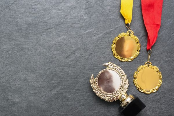Call for Applications: The Sigourney Award 2024