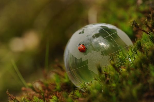 ACA Grants for Conservation Heroes and Outdoor Enthusiasts-Canada