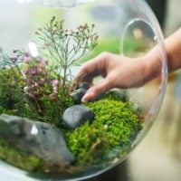 Call for Projects: Sustainable and Resilient Coastal Ecosystems and a Social and Fair Blue Economy