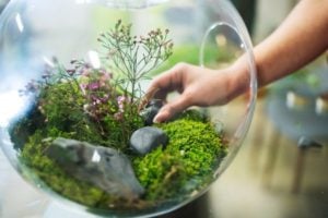 Call for Projects: Sustainable and Resilient Coastal Ecosystems and a Social and Fair Blue Economy