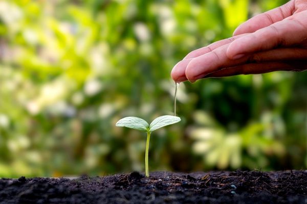 A&N Daniell Charitable Trust Grants Programme in the UK