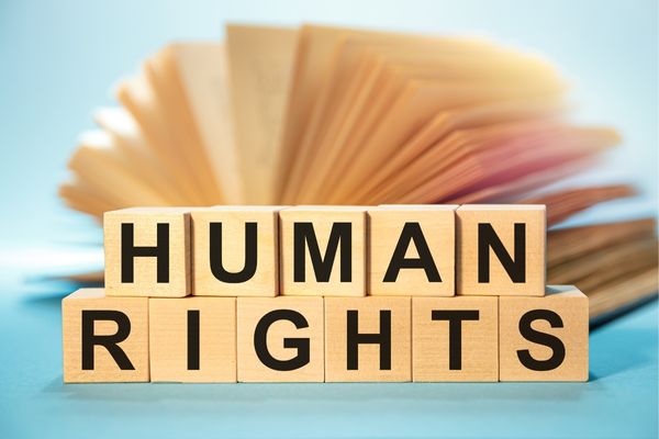 Grants to promote Dalchen Practices* in the Feminist Movement - Georgia