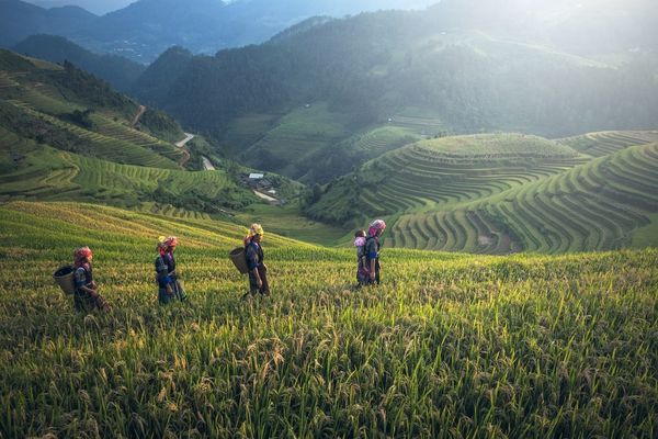 Call For Research Concept Notes: Economics of Natural Resource Use And Environmental Change