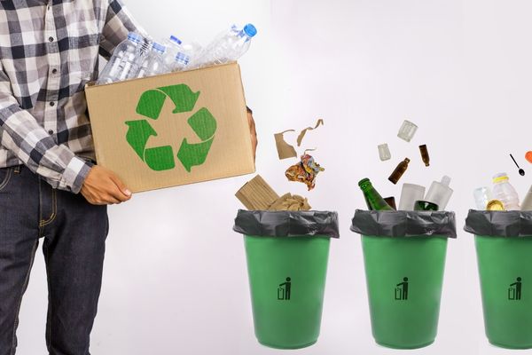 SBI Foundation invites Non-profit Projects in the Areas of Sustainable Waste Management & Tree Plantation