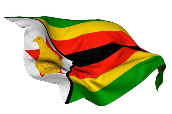 Call for Proposals: CreativeACTIONs 2 Grant Program (Zimbabwe)