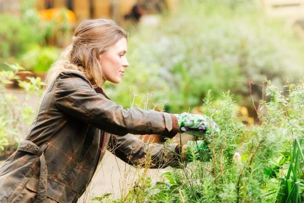 Applications open for Agricultural Knowledge Small Grants - Australia
