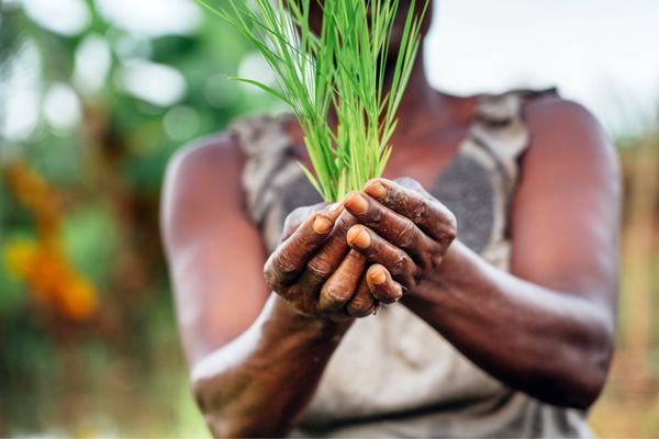 3rd Call for Proposals of the Climate Action Window: Apply for Grant Funding