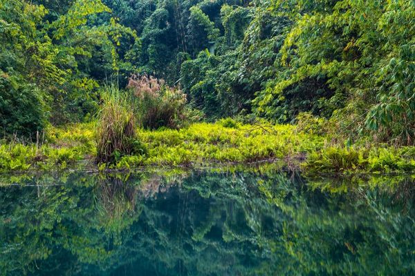 Call of Project Proposals: 2023 Tanzania Forest Fund