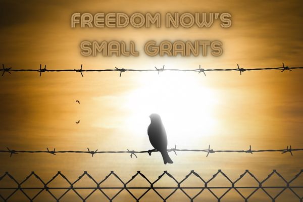 Freedom Now