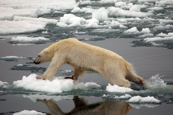 Climate x Health Small Grant Program