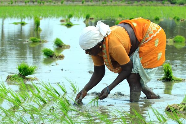 Grant Assistance for Grassroots Projects (GGP) Scheme: Call for Projects to access 10 million Japanese Yen each