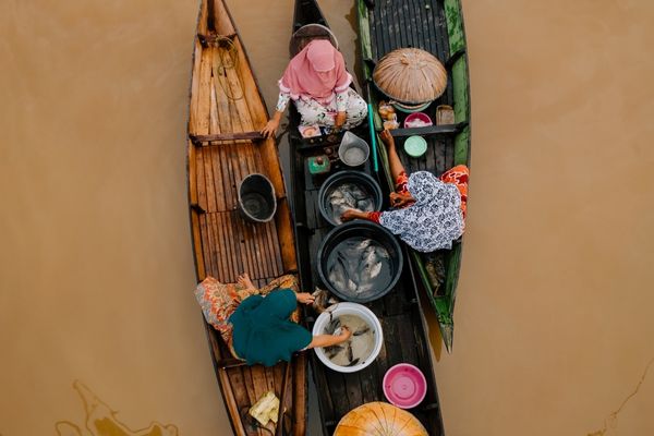 Ventures for Sustainability Fellowship Program