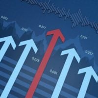 Call for Proposals: New Economy Campaigns Hub (South Africa)