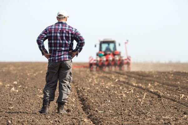 CFAs: Outreach and Assistance for Socially Disadvantaged and Veteran Farmers & Ranchers (2501 Program) in the US