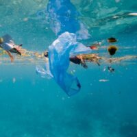 Call for Proposals: Environment - focusing on Danish Sea Areas in Denmark - fundsforNGOs Call for Proposals: Environment - focusing on Danish Sea Areas in Denmark