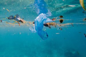 Call for Proposals: Environment - focusing on Danish Sea Areas in Denmark