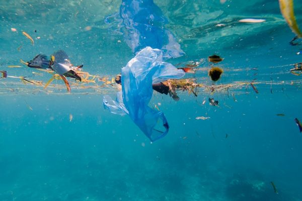 Call for Proposals: Environment - focusing on Danish Sea Areas in Denmark