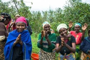Public Diplomacy Small Grants Program in Gambia