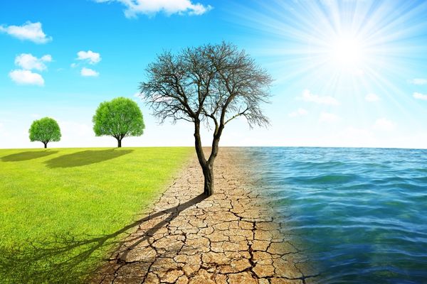 Notice of Funding Opportunity: A Climate Action Podcast (India)