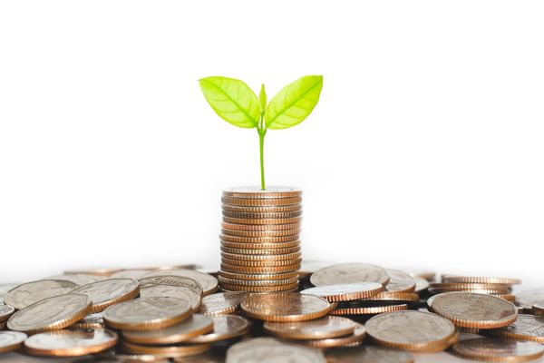 Britford Bridge Trust Grant Programme - UK