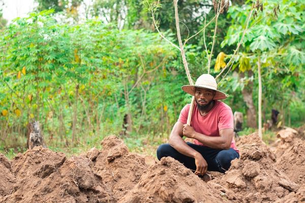 Direct Beneficiary Grants to Farmer Organizations (Kenya)