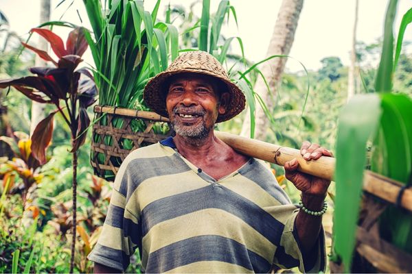 EC launches Call for Local CSOs to promote Equity and Innovation in Food