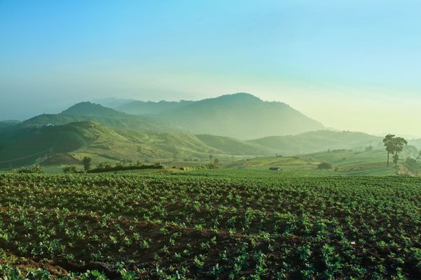 Land and Food Sovereignty Funding Stream – Canada