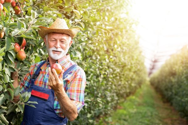 Open Call for Organic Production Method