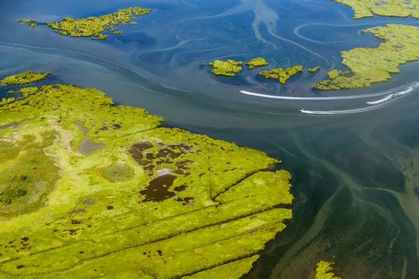 EPA's Wetland Program Development Grants - Region 3 (United States)