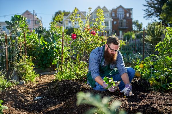 Call for Proposals: Informal Education and Green Funding (UK)