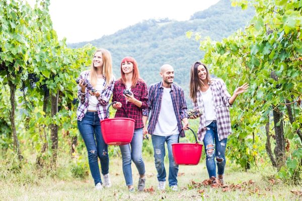 Small Grants Program in Australia