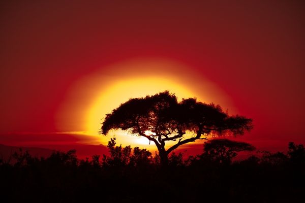Commons: Wiki Loves Africa 2023
